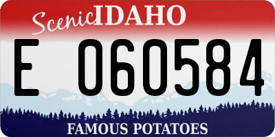 ID license plate E060584