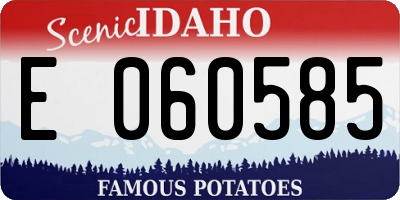 ID license plate E060585