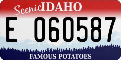 ID license plate E060587