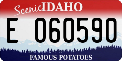 ID license plate E060590