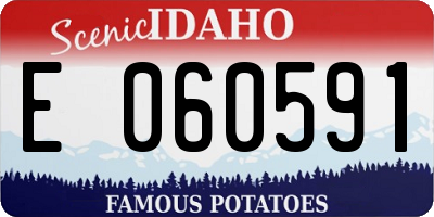 ID license plate E060591