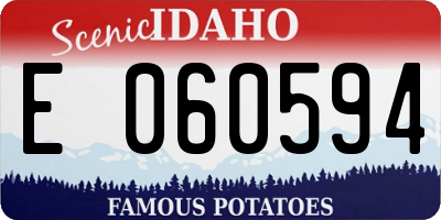 ID license plate E060594