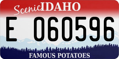 ID license plate E060596