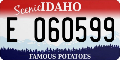 ID license plate E060599