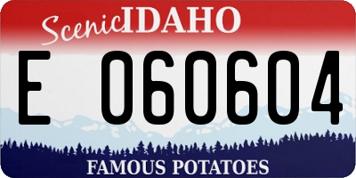 ID license plate E060604