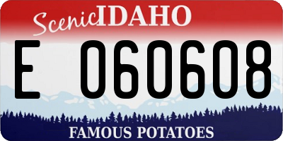 ID license plate E060608