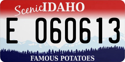 ID license plate E060613