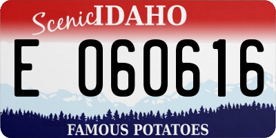 ID license plate E060616