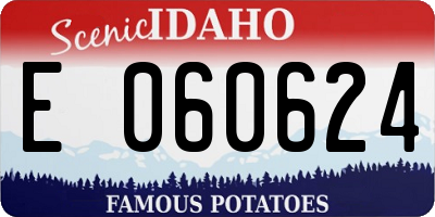 ID license plate E060624