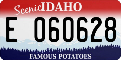 ID license plate E060628
