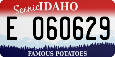 ID license plate E060629