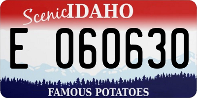 ID license plate E060630