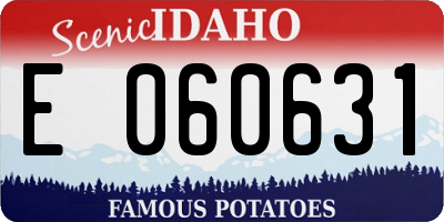 ID license plate E060631