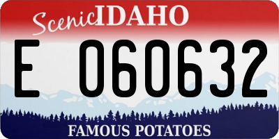 ID license plate E060632