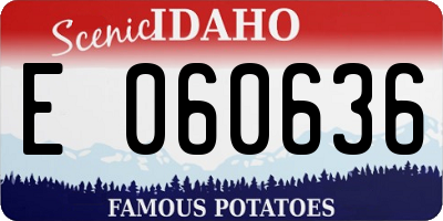 ID license plate E060636
