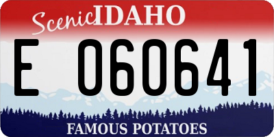 ID license plate E060641