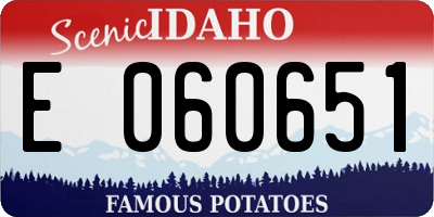 ID license plate E060651