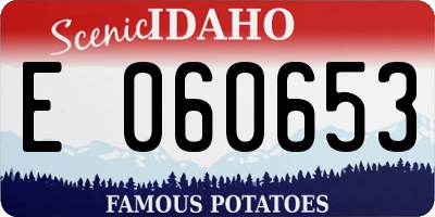 ID license plate E060653