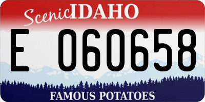 ID license plate E060658