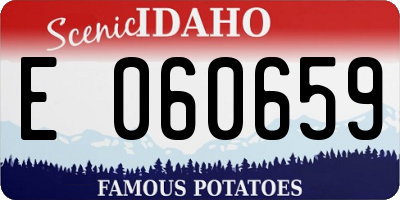 ID license plate E060659