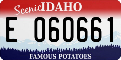 ID license plate E060661