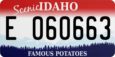 ID license plate E060663