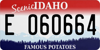 ID license plate E060664