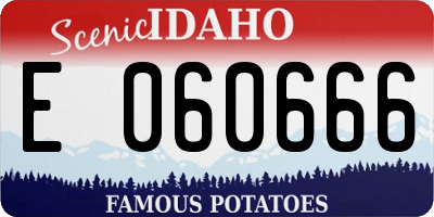 ID license plate E060666