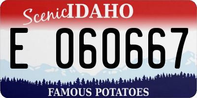 ID license plate E060667