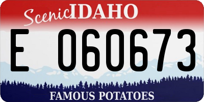 ID license plate E060673