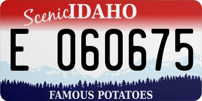 ID license plate E060675