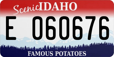 ID license plate E060676
