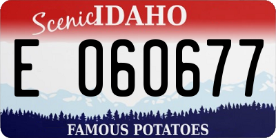 ID license plate E060677