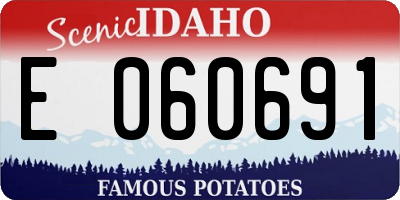 ID license plate E060691