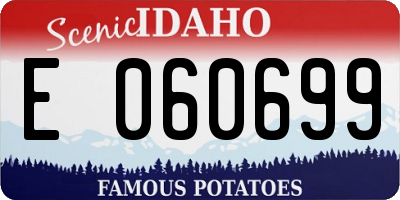ID license plate E060699