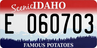 ID license plate E060703