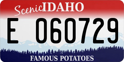 ID license plate E060729