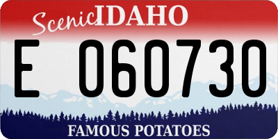 ID license plate E060730