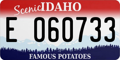 ID license plate E060733