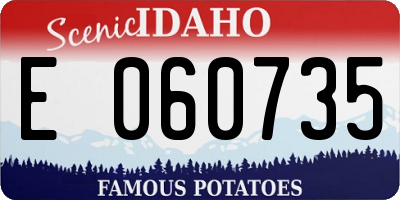 ID license plate E060735