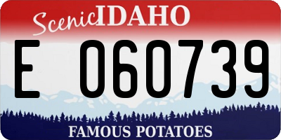 ID license plate E060739