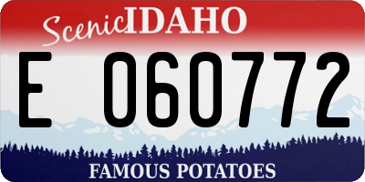 ID license plate E060772