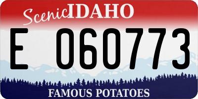 ID license plate E060773