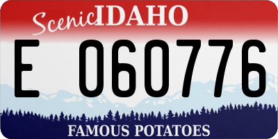 ID license plate E060776