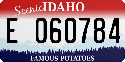 ID license plate E060784