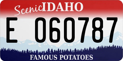 ID license plate E060787