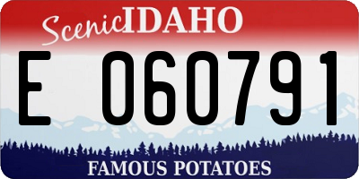 ID license plate E060791