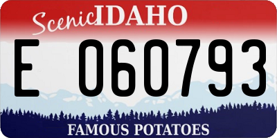 ID license plate E060793