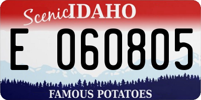 ID license plate E060805