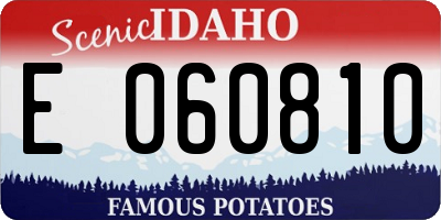 ID license plate E060810